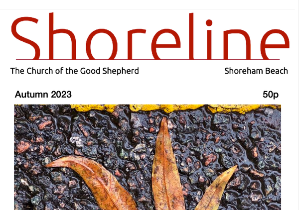 Shoreline: Autumn 2023 issue available